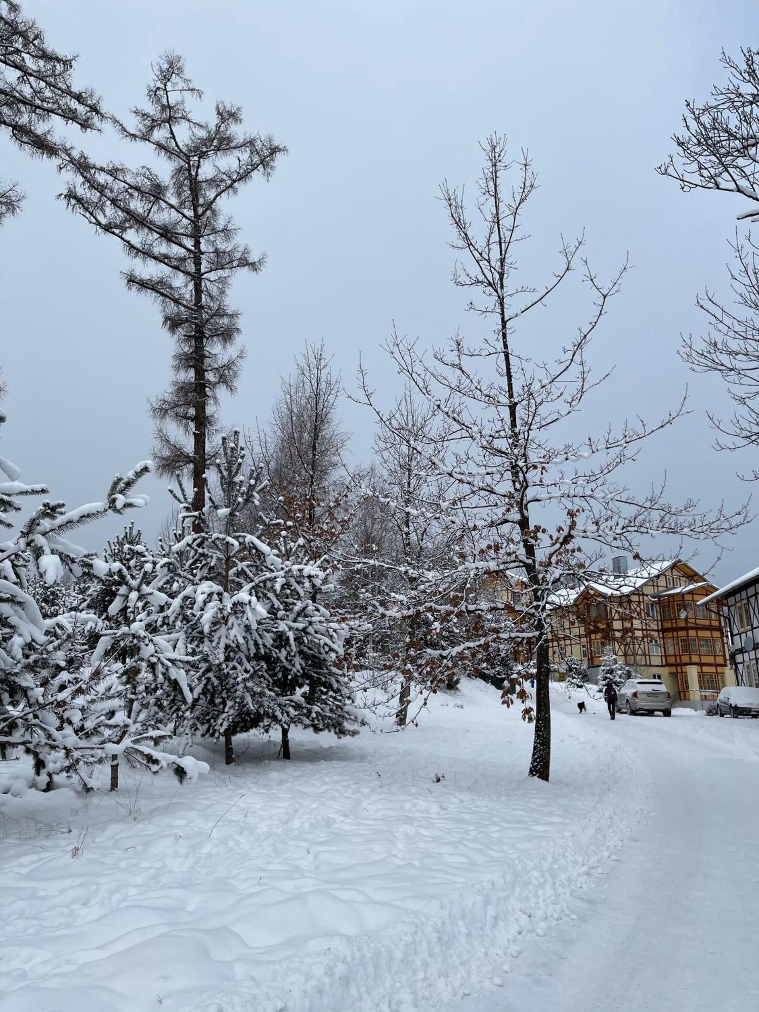 Vila Mudron Vysoké Tatry Exteriör bild